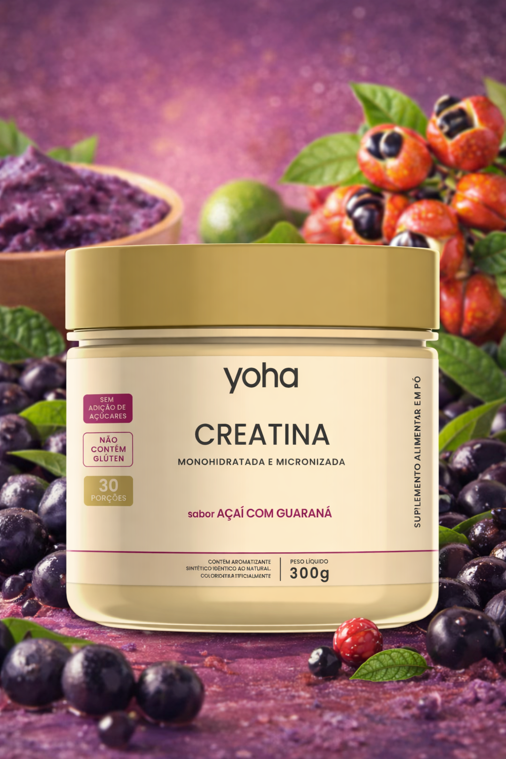 Creatina Gourmet 300g